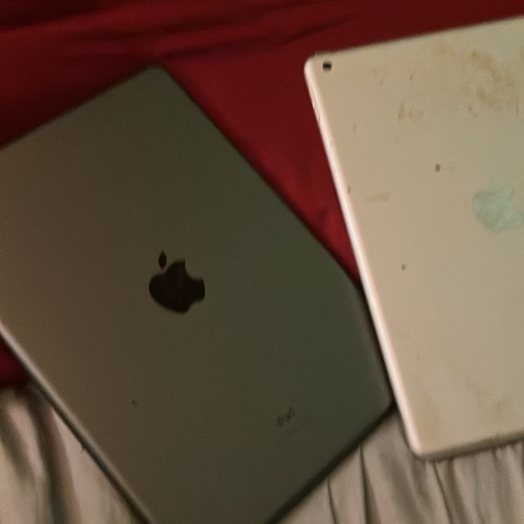 Apple iPad Pair - Gray and White - Picture 1 of 7